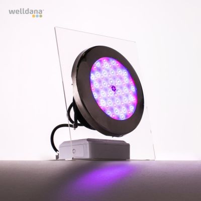 Moonlight LED lamper