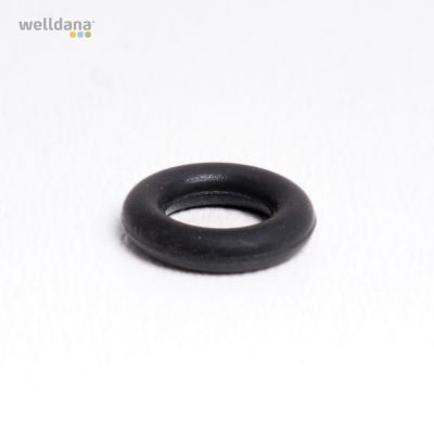 O-ring f/kemikalie pumpe