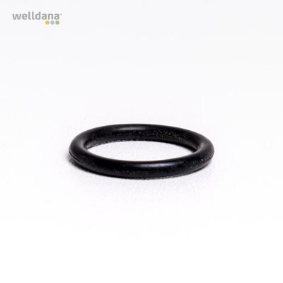 O-ring til prop 6 vejs ventil Welldana® Sandfilter