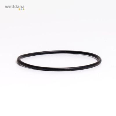 O-ring til filter rør 50 mm Welldana® Sandfilter