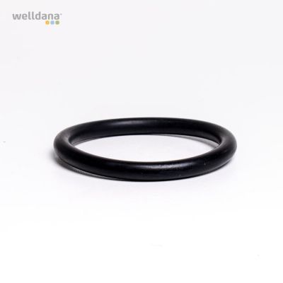 O-ring til WD 6-vejs ventil til unioner WD 400/500/ 650