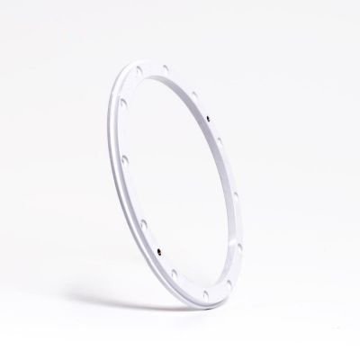 Flange for liner   Welldana Poollampe.  D= 260 mm d= 220 mm
