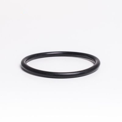 O-ring til Union f. Koral pumpe